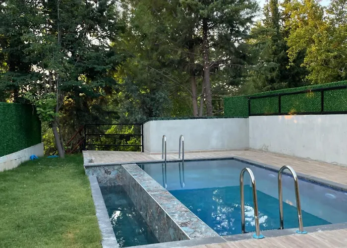 Ece Hani *